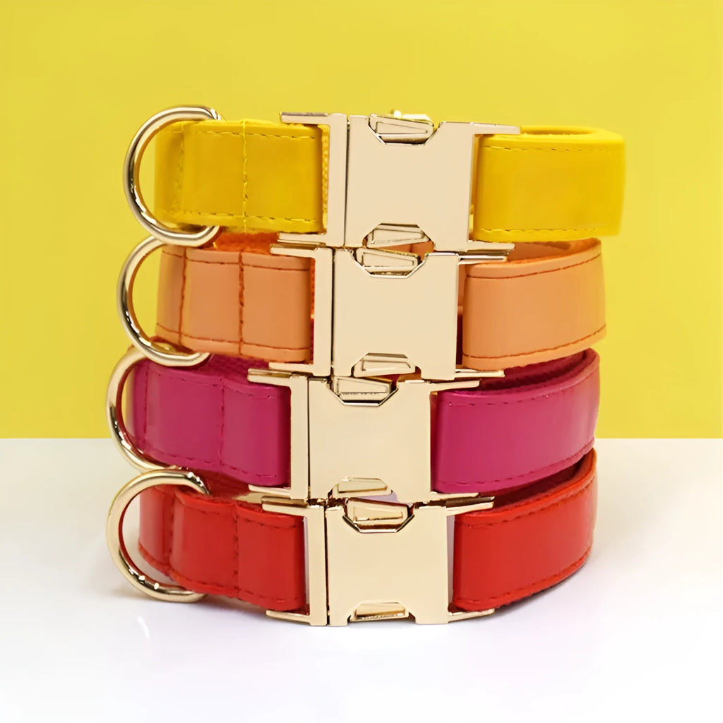 Solid colour leather dog collar shown in a selection of hues including caramel, dark blue and rose pink.