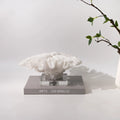 Resin coral ornament in coral colour, 34x31x15cm, on a wooden desktop