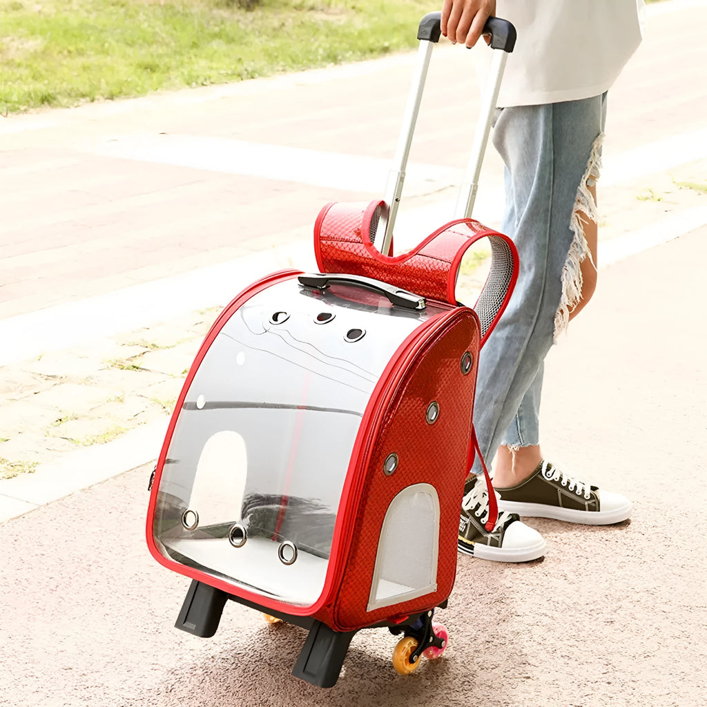 Blue transparent folding pet trolley bag with shoulder strap and wheels for small dog or cat.
