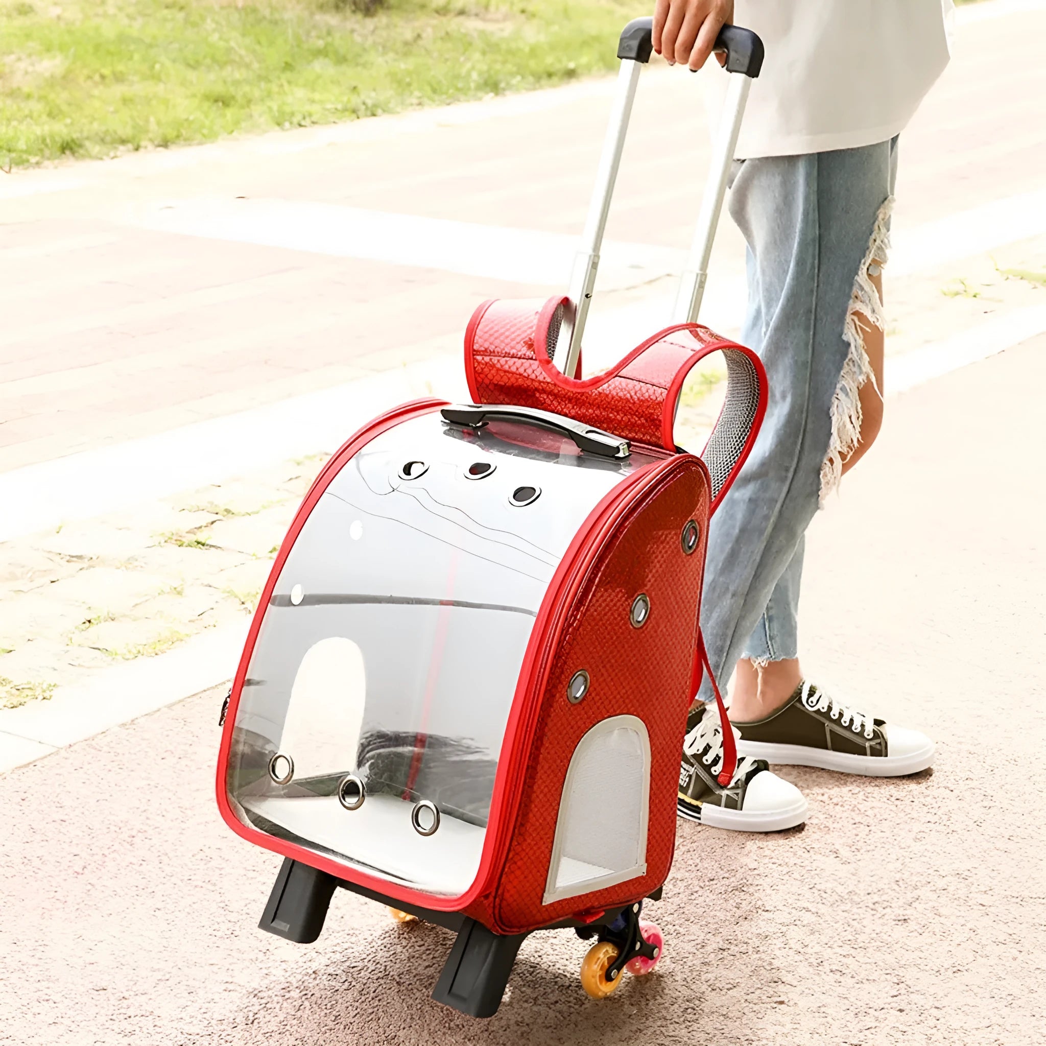 Blue transparent folding pet trolley bag with shoulder strap and wheels for small dog or cat.