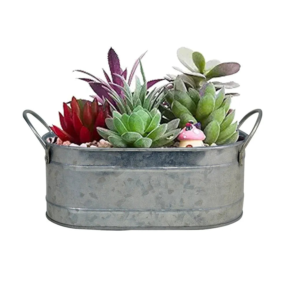 Iron desktop flower pot for succulents on a wooden table