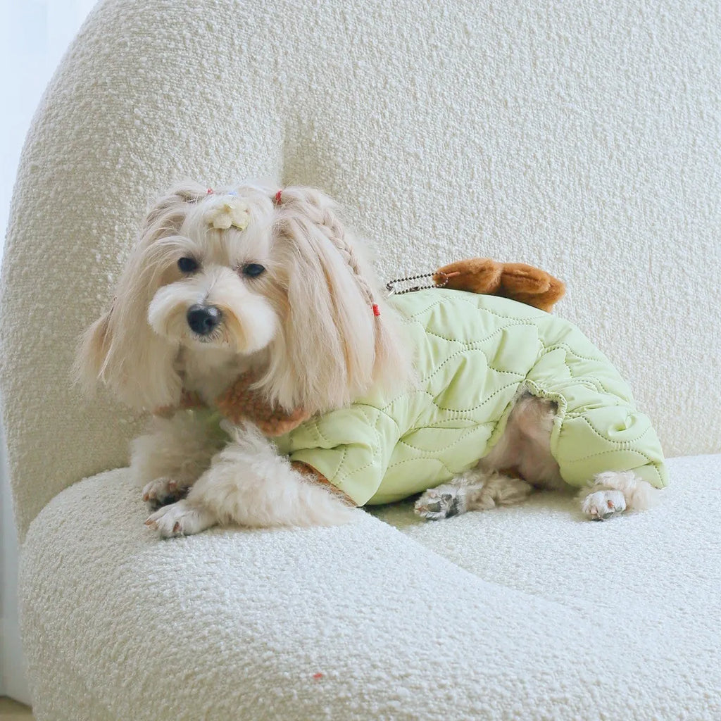 Light green cotton pet clothing with extra thick band and hanging strap toy bear, sizes XS to XXL
