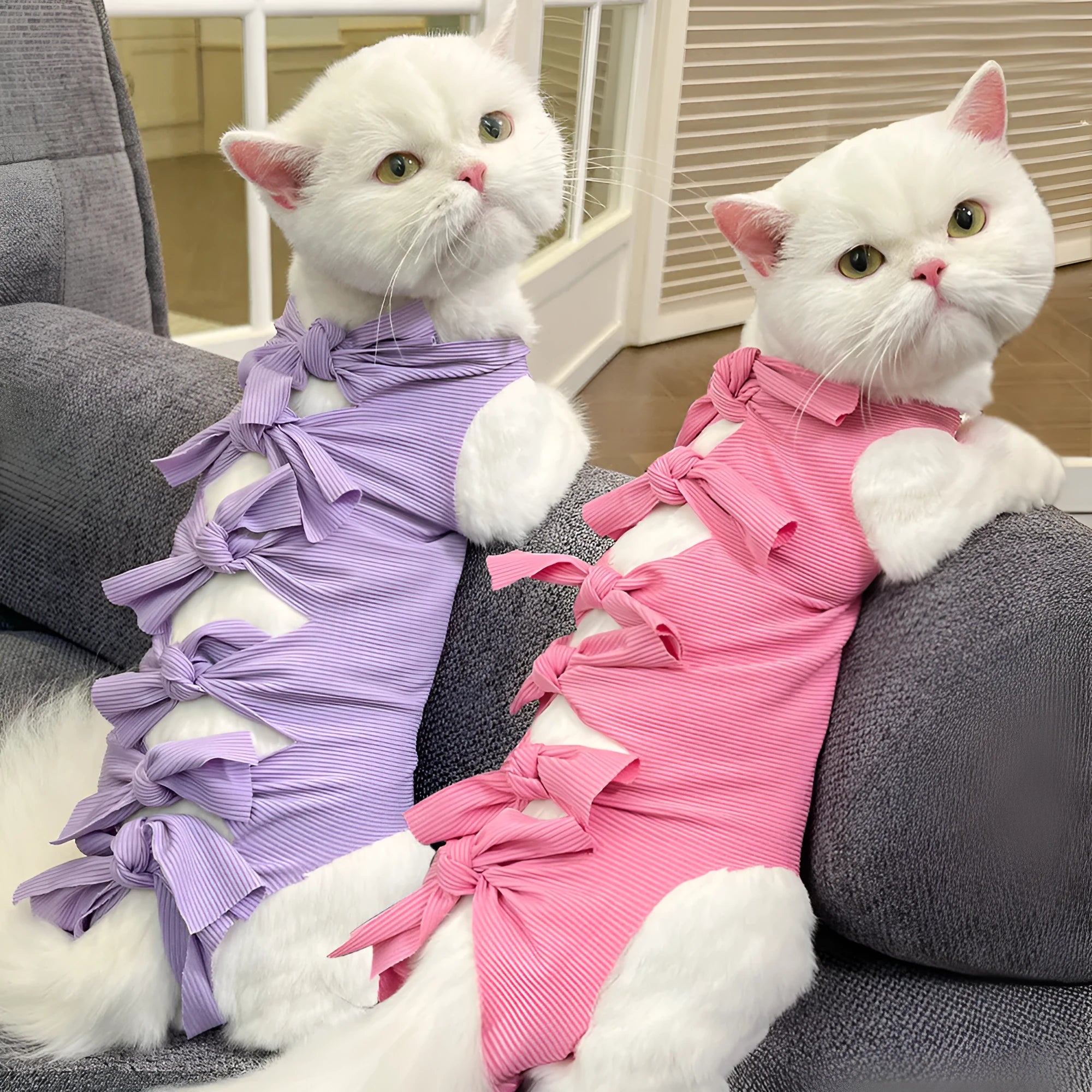 Adjustable polyester cat recovery suit for post-operation wear in blue colour with lace-up closure