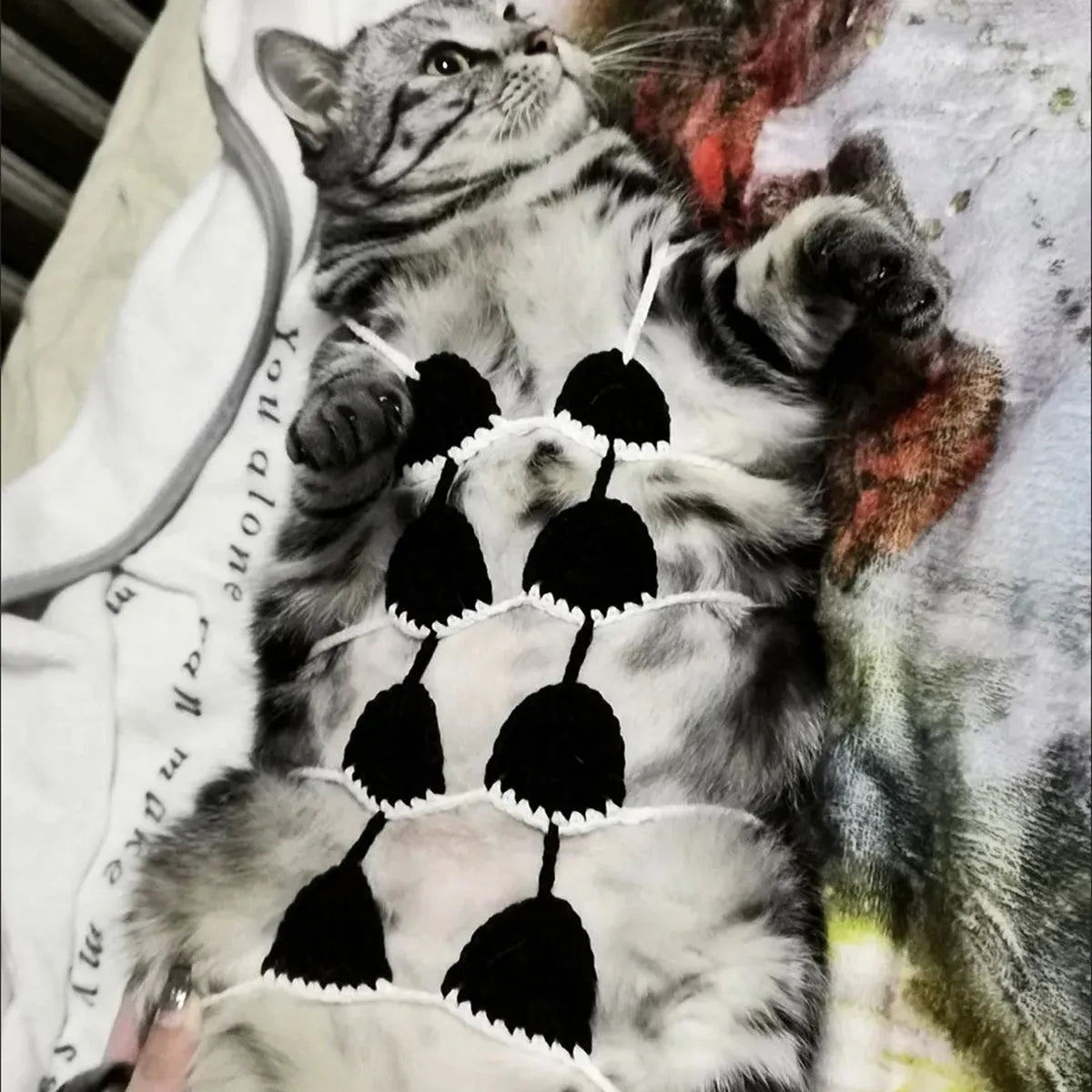 Cat wearing sweet style bra and bikini costume in choice of five colours for Halloween or festival dress-up