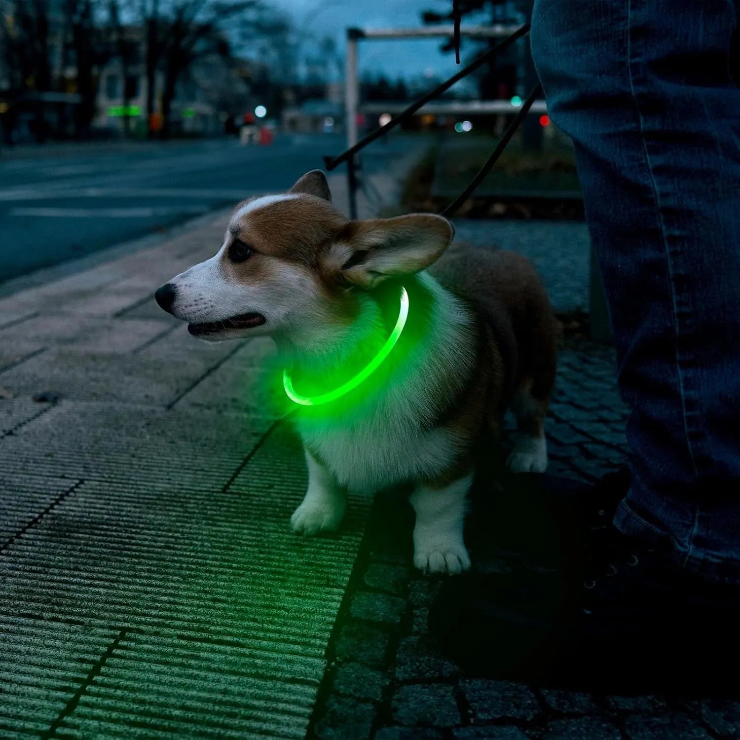 LED glowing dog collar with USB charging port and adjustable 70cm length