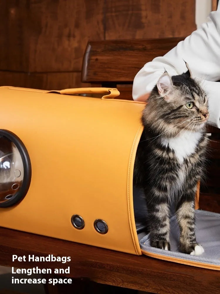 Orange portable pet carrier bag for small dogs and cats with dimensions 50cm by 31cm by 33cm