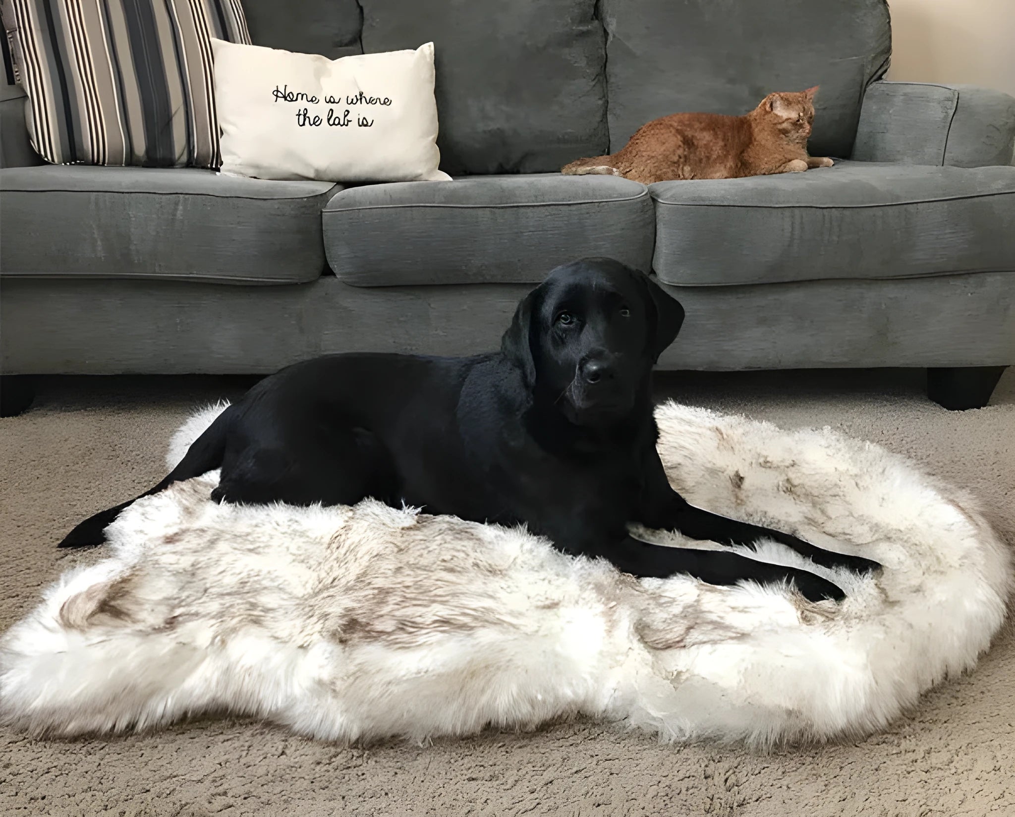 Beige rectangular pet dog plush mat with 4cm plush fabric on floor for indoor use
