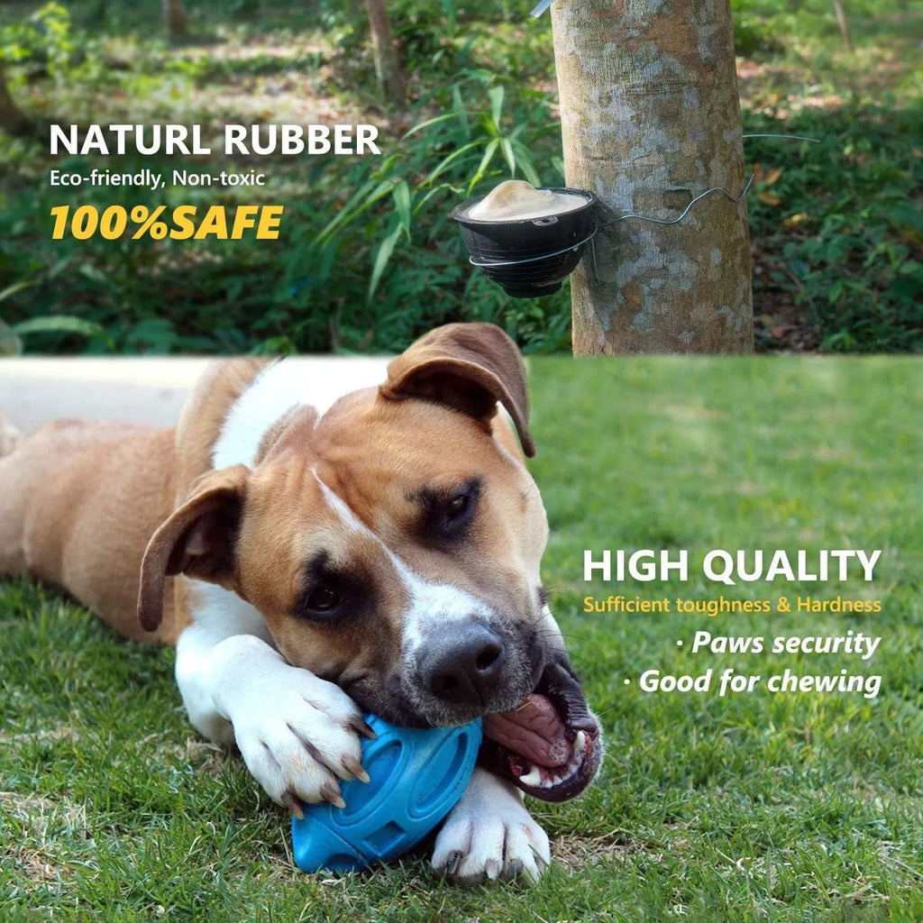 Blue, green, and orange natural rubber squeaky dog toy ball with surface grooves for medium/large breed dogs.
