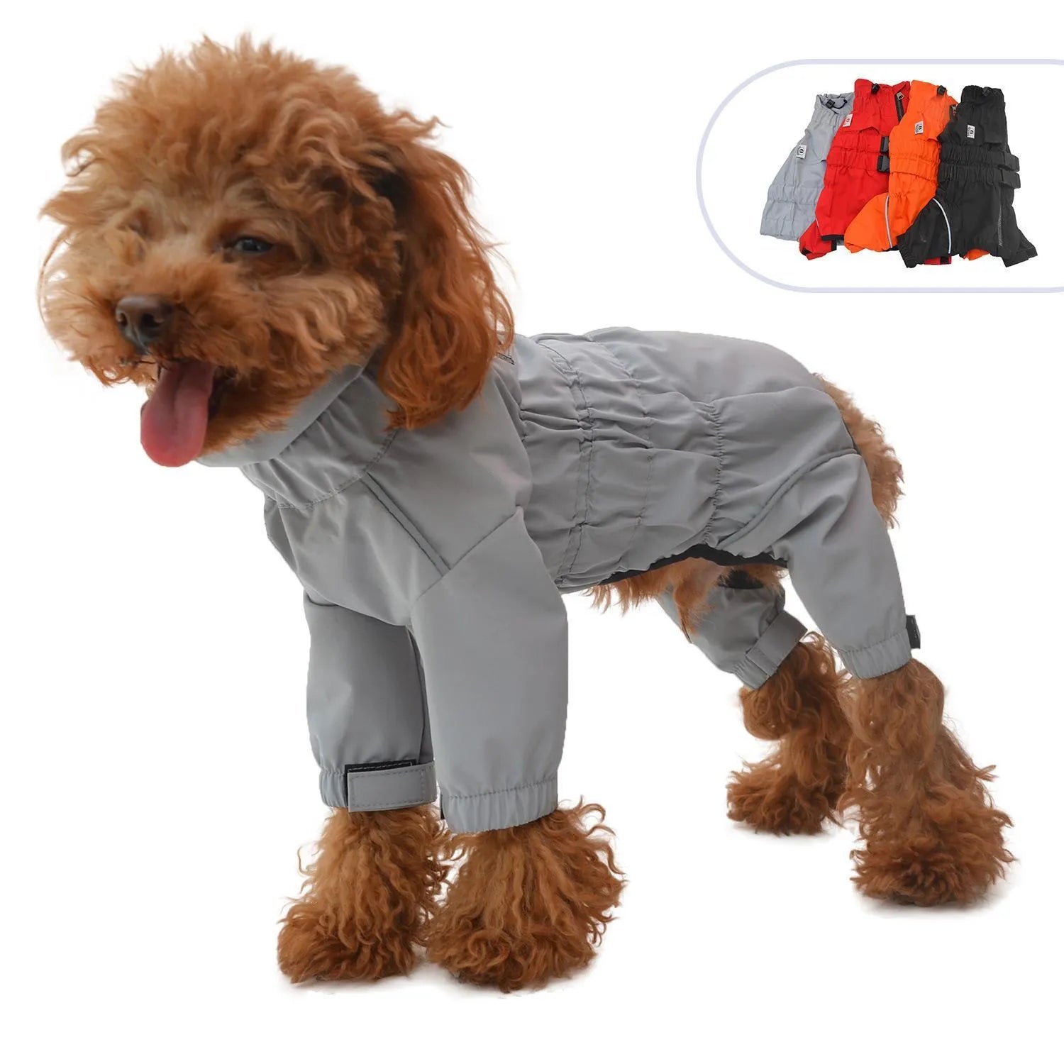 Outdoor four legged dog raincoat in black polyester with leg holes and adjustable fit