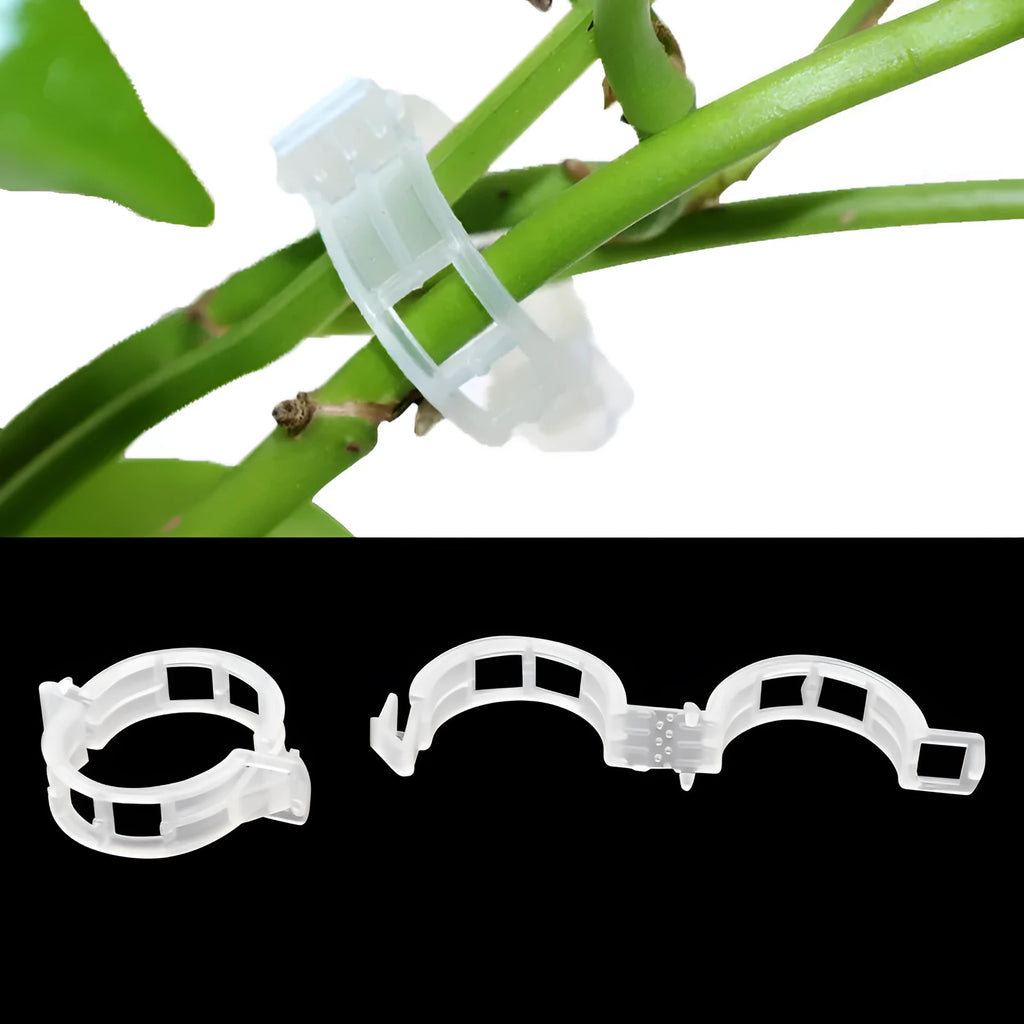 Plastic plant fixing clips pack of 50 pieces for garden plant support