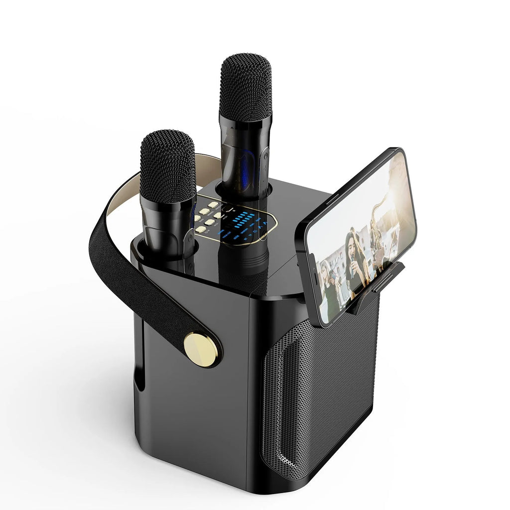 Bluetooth speaker with dual microphones for outdoor karaoke, black colour, showing front panel and microphone slots