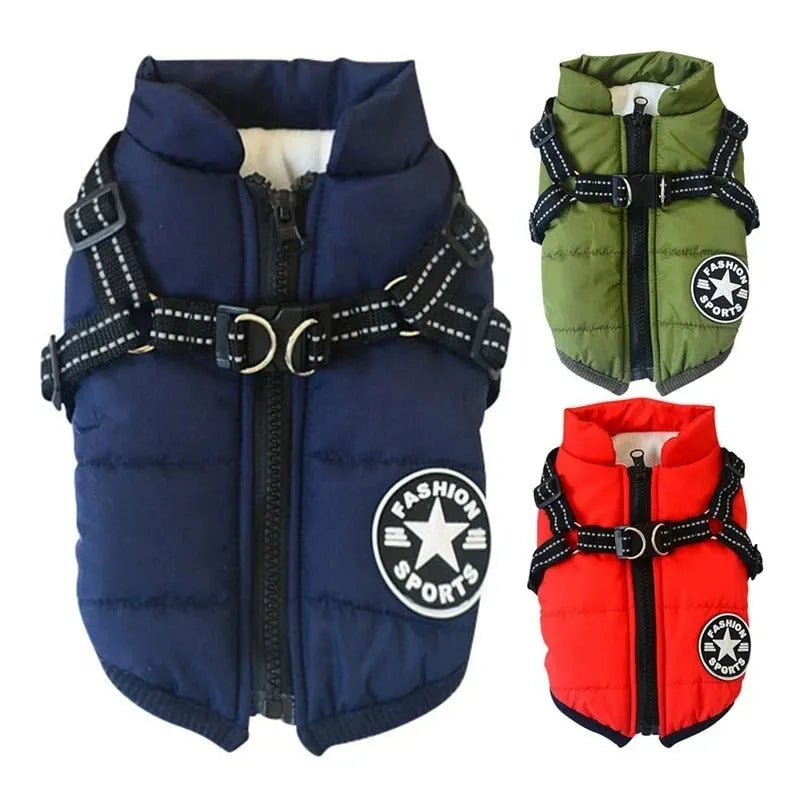 Waterproof dog hooded coat for small dogs in winter, with reflective trim and zipper, on a Chihuahua