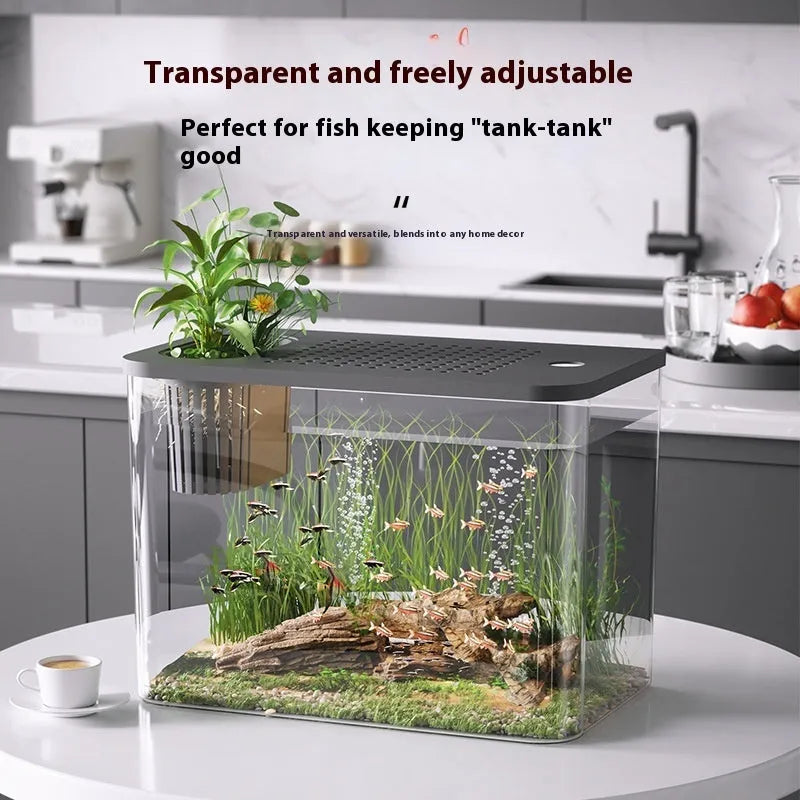 Mini ecological betta tank in black or white plastic with cover dimensions 32cm x 18.5cm x 23cm