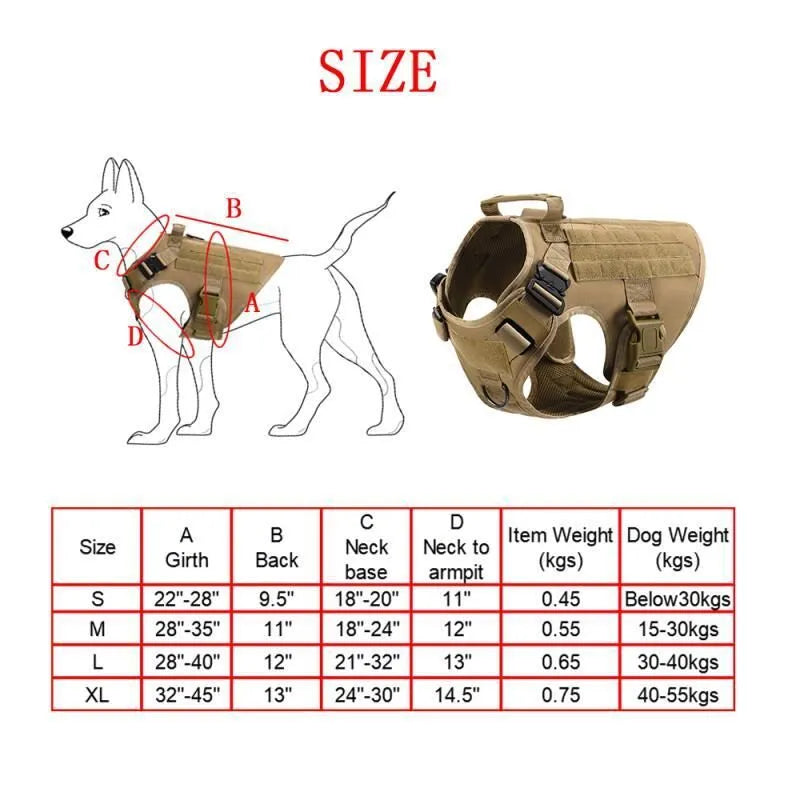 Dog wearing tactical combat vest set in CP camouflage with harness and protective gear