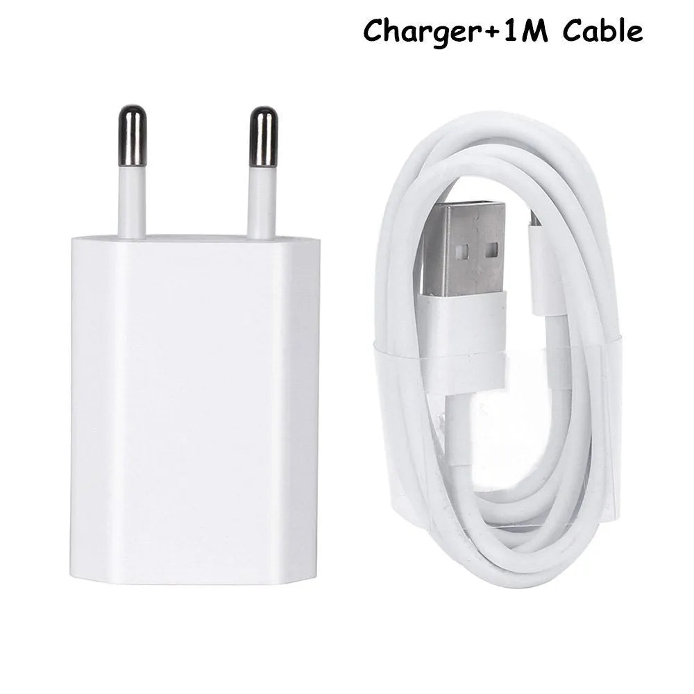 White USB wall charger and Lightning cable for iPhone and iPad models on a grey background.