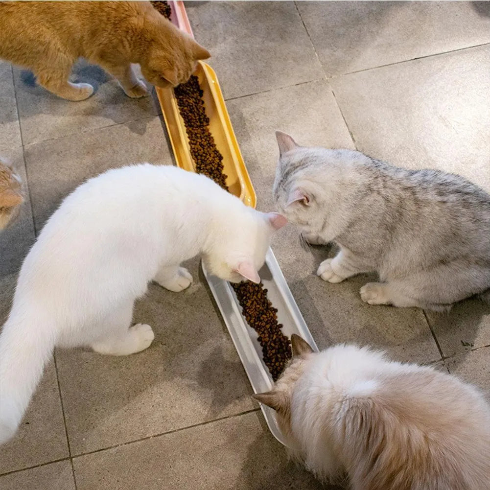 Green partitioned pet feeder bowl with four sections for dog or cat dry food.