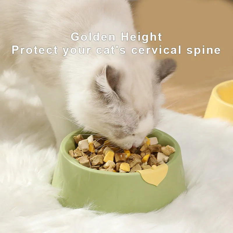 Plastic double pet bowl in blue colour with anti-tipping design for cats and dogs