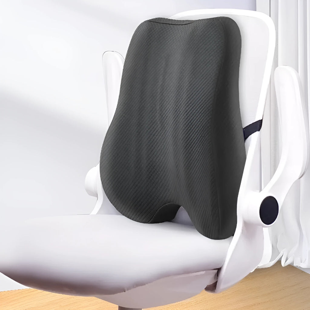 Grey lumbar support cushion for office chair showing 40x40x8cm dimensions.