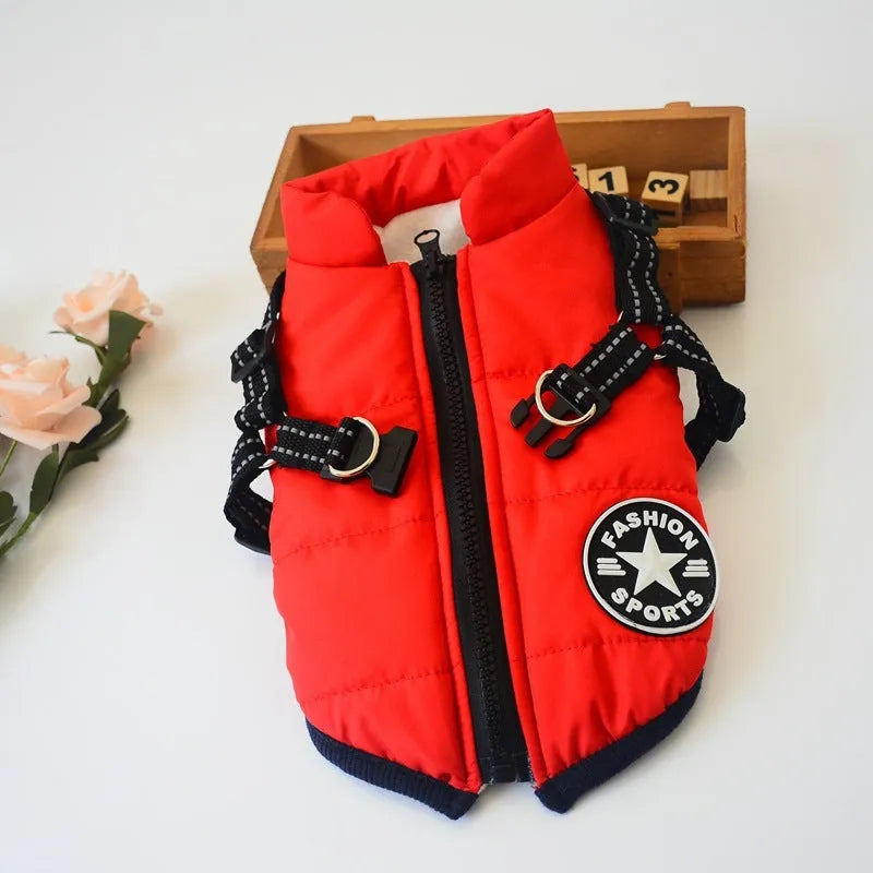 Waterproof dog hooded coat for small dogs in winter, with reflective trim and zipper, on a Chihuahua
