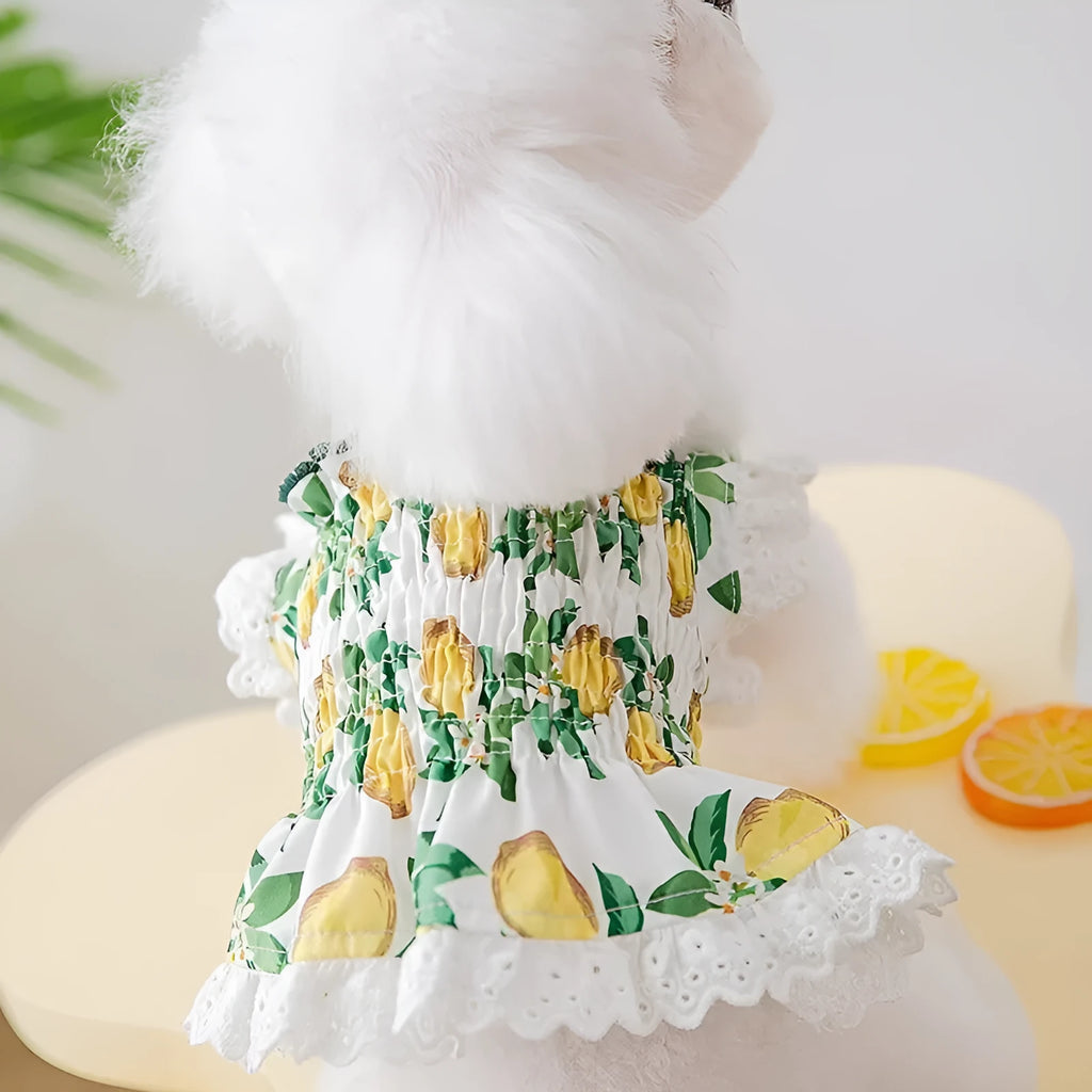 Rock yellow lemon polyester dog dress with thin breathable strap skirt, shown on a mannequin.