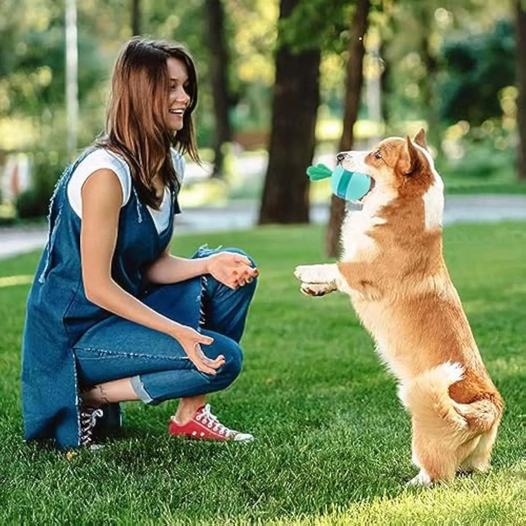 Blue and green durable rubber treat dispensing dog toy with tumbler ball design