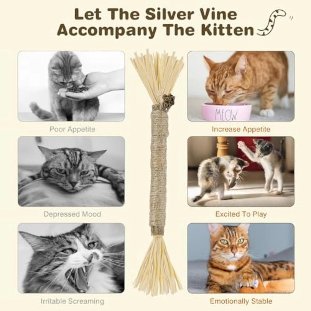 Natural silvervine chew sticks for cats in two diameter options for dental care and play