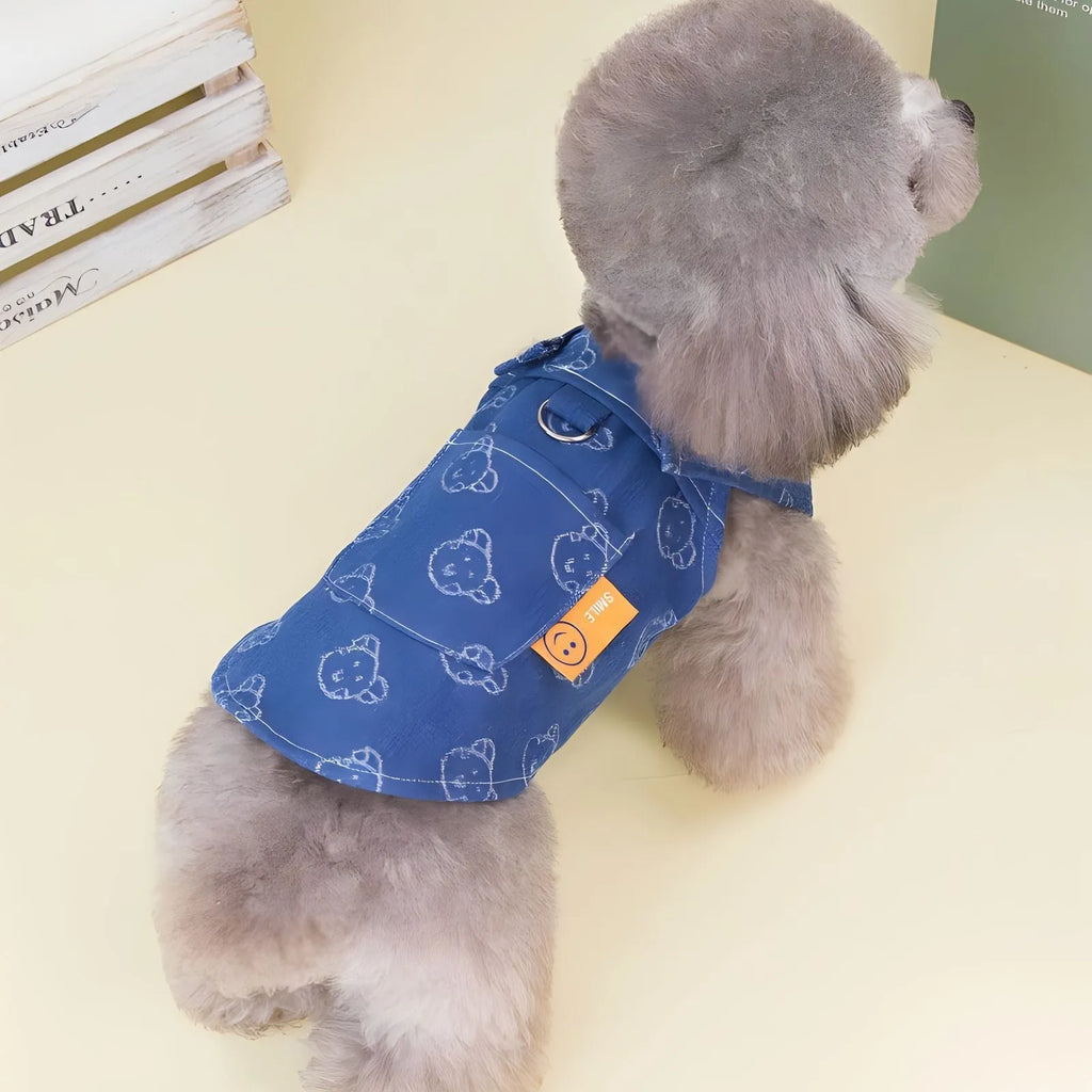 Teddy Bichon small dog wearing denim princess dress with bracket skirt design