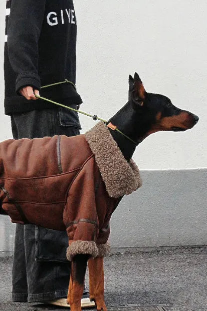 Winter plus velvet pet lapel leather coat for big dogs with denim fleece collar in 4XL