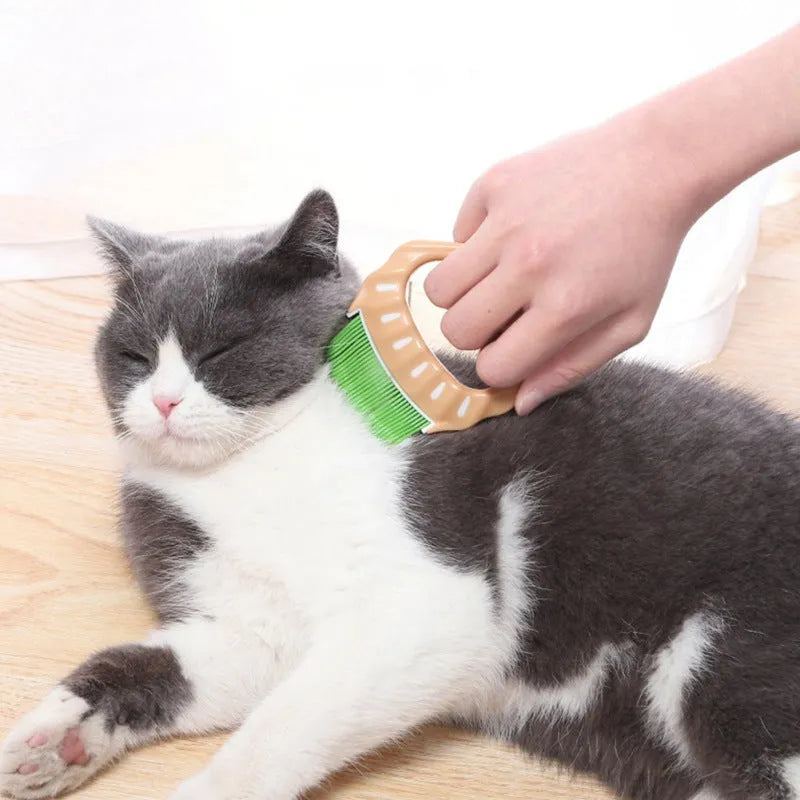 Shell-shaped pet grooming brush for dogs and cats in green colour with anti-slip handle