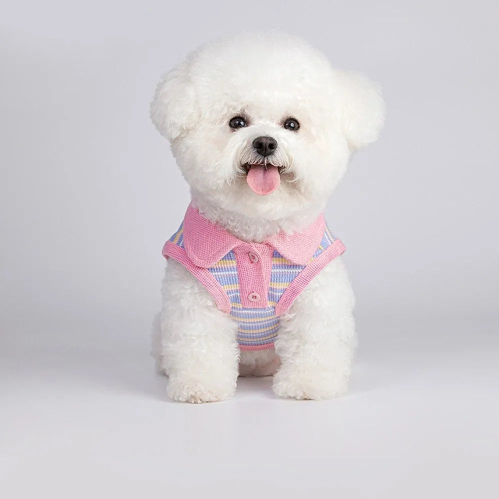 Pink purple autumn vest for small dogs showing lightweight pet clothing design