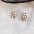 Korean style women's fruit-themed earrings in alloy with electroplated gold, silver, pearl flower, and starfish pearl finishes.