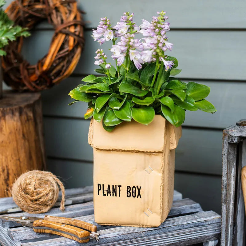 Cement brown paper box flowerpot with bottom drainage hole in Nordic style