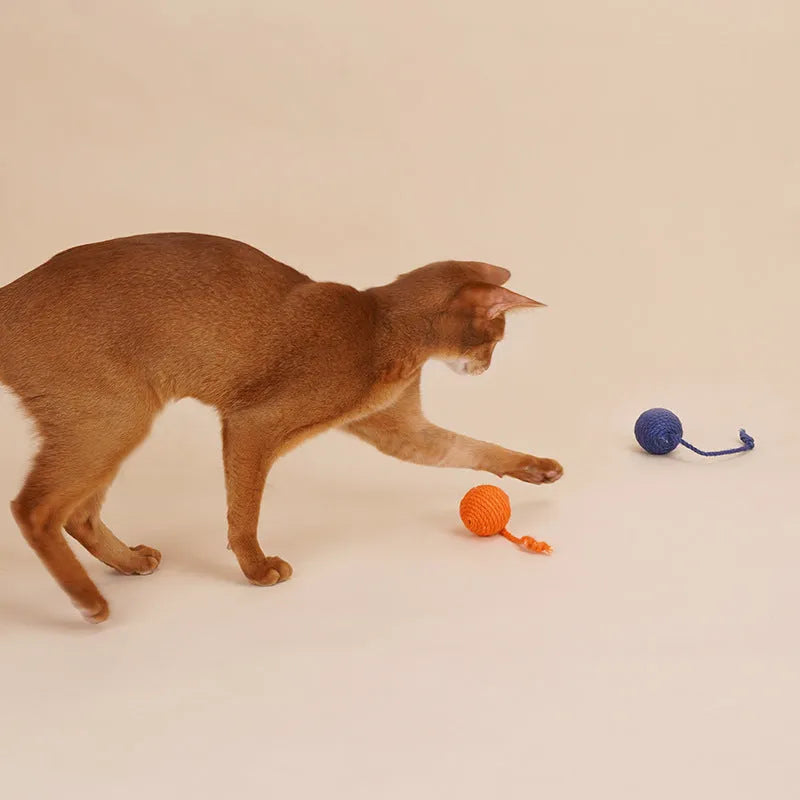 Cat toy set with teaser stick and catnip ball in blue, green, red, yellow colours