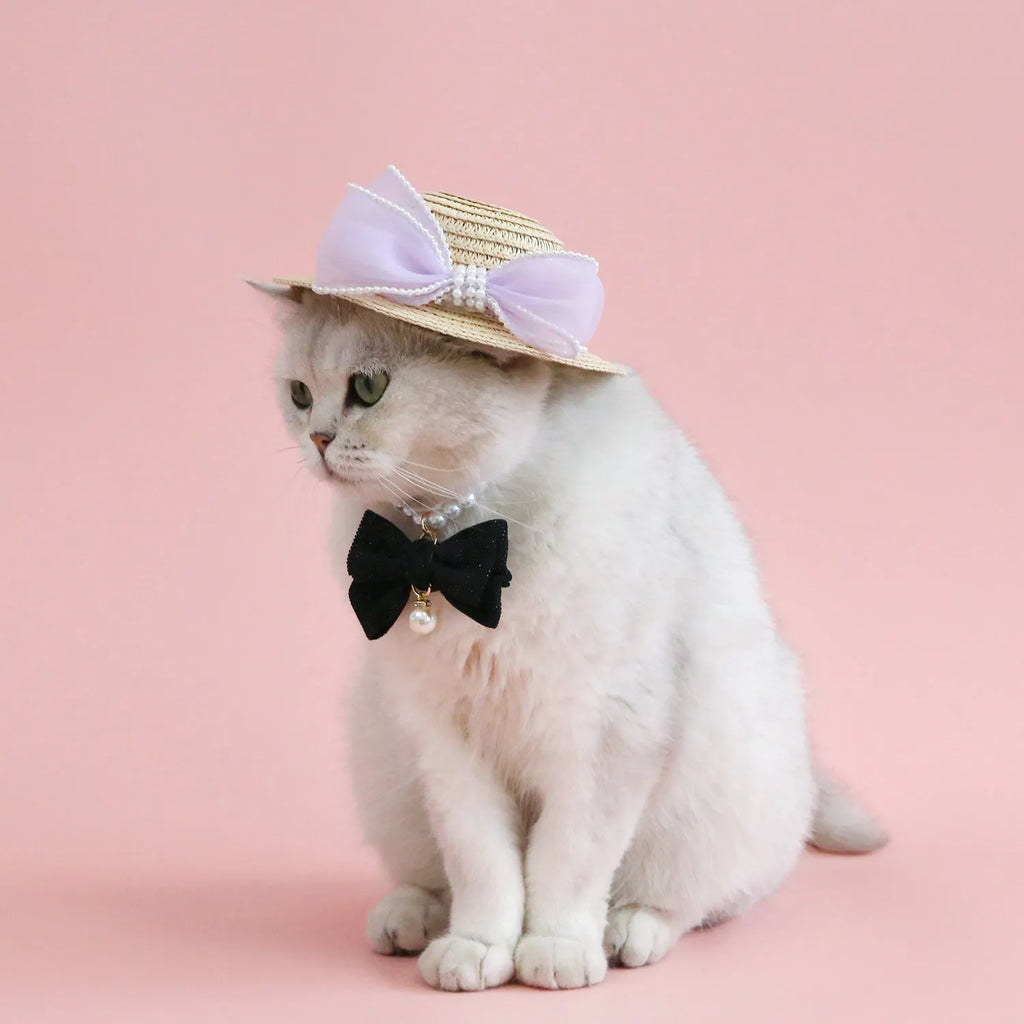 Woven Lafite leaves cat hat in princess style with pearl butterfly decoration for pet fancy dress