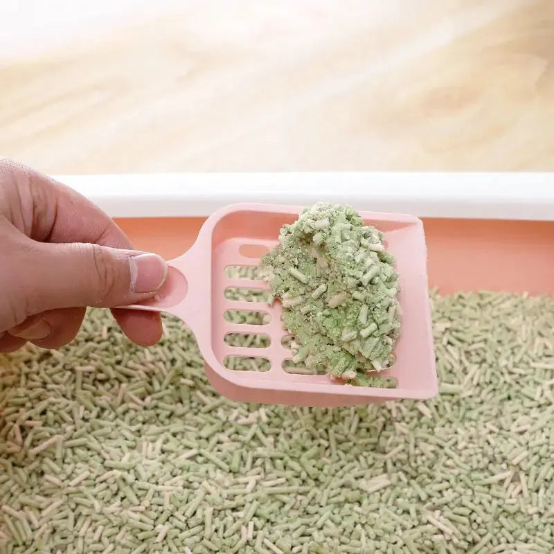 Plastic cat litter scoop in blue green or pink measuring 20cm long for cleaning pet toilet sand