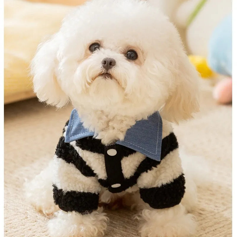 Dog winter thick warm cozy sweater with leash hole and collar for small medium breeds