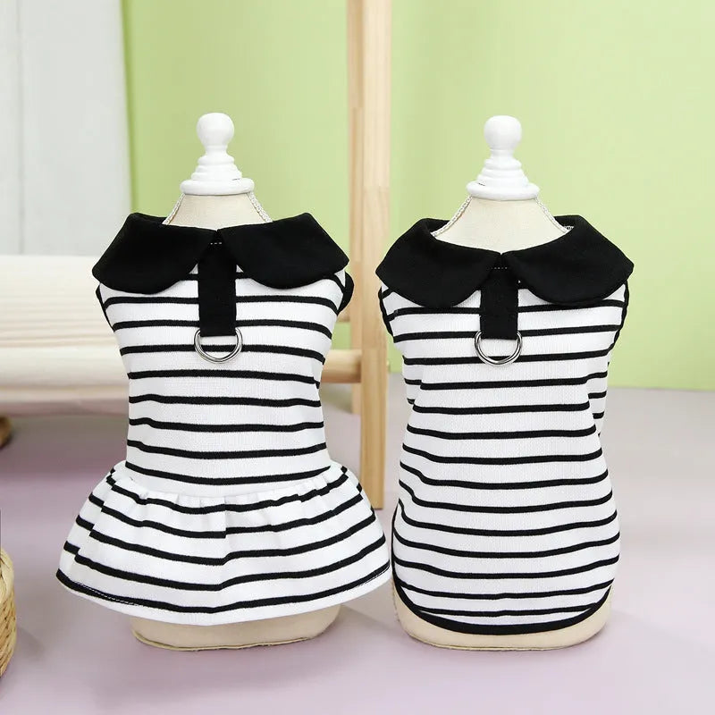 Pet dog wearing cotton summer stripes t-shirt and skirt set