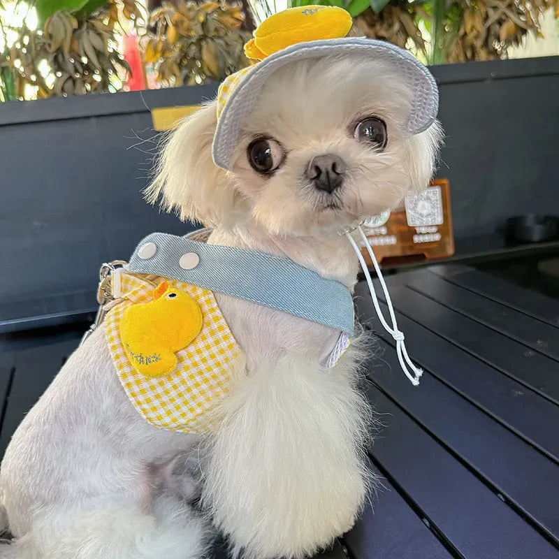 Three-piece summer cat clothes set with harness, leash, hat and rope accessories for outdoor pet safety