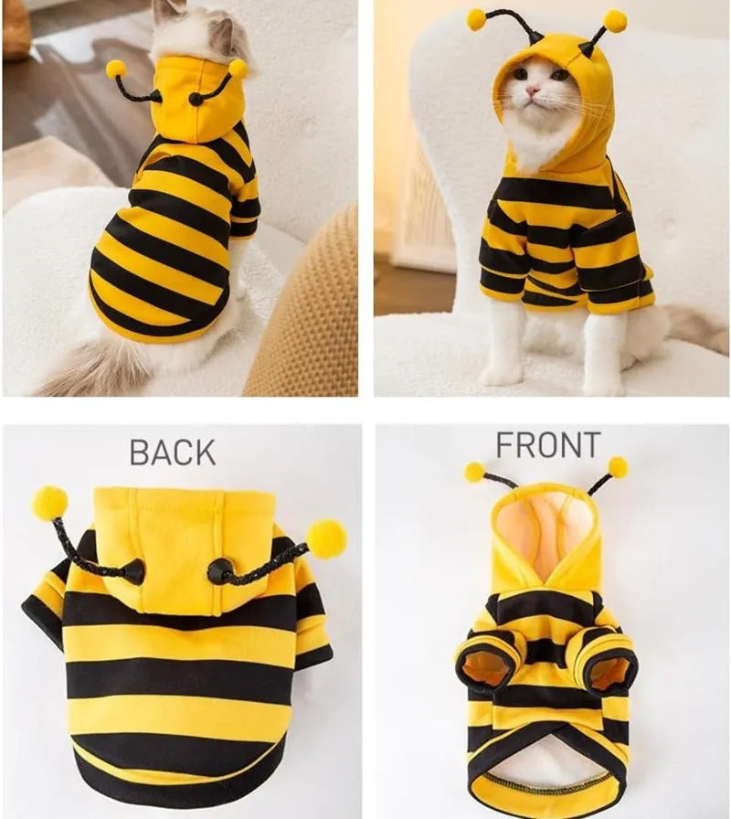 Yellow and black striped bee antenna hoodie for small dogs with flexible antennae and back belt hook