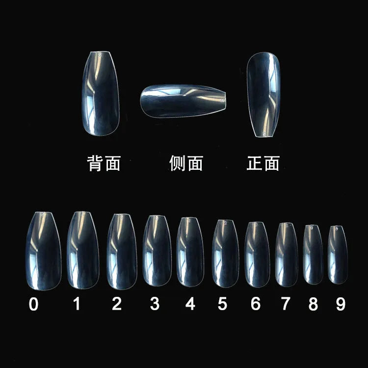 500 clear ABS false nails in 10 different sizes, laid out for professional or home manicure application