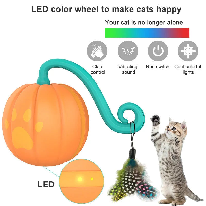Electric cat toy ball with LED lights in watermelon design for indoor pet play