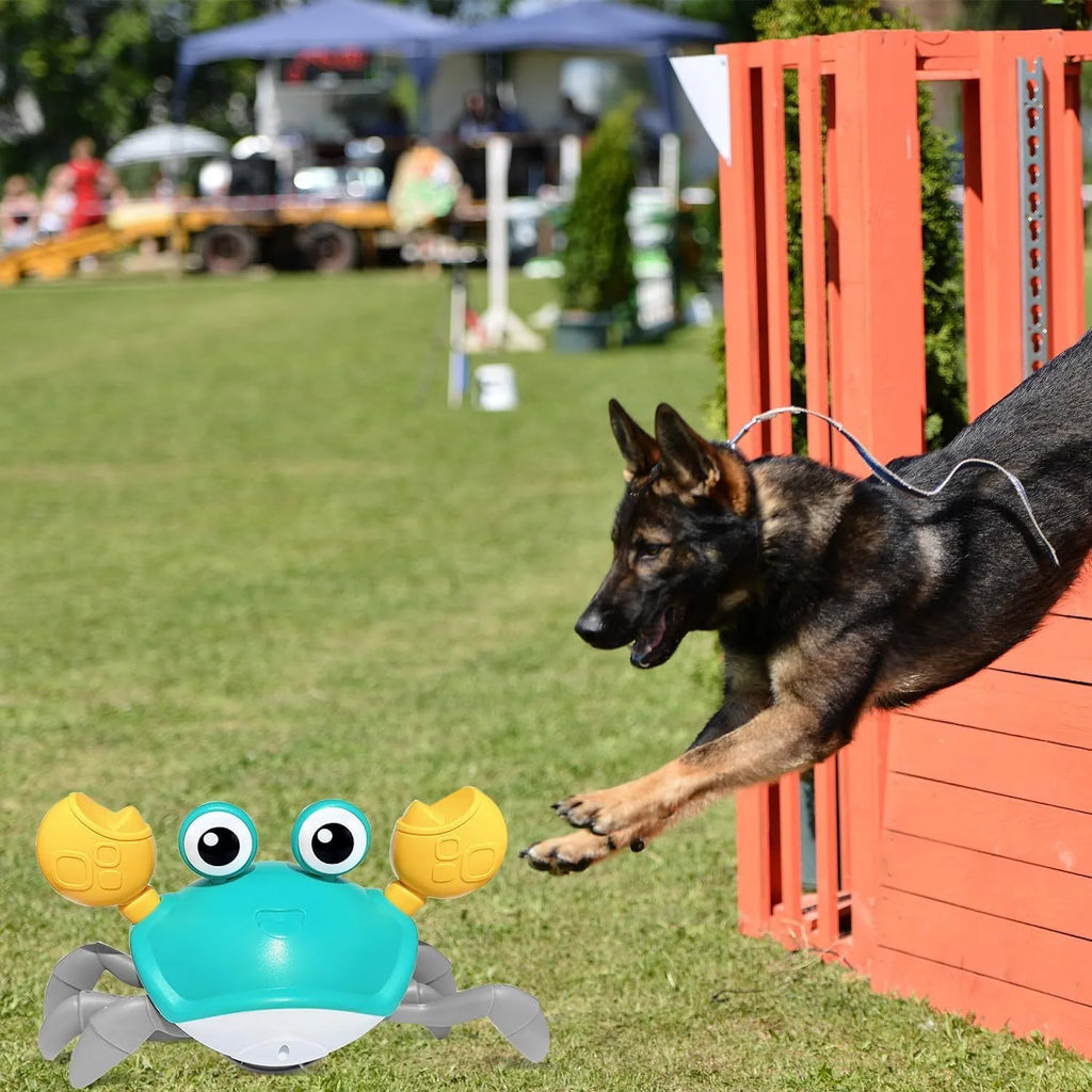 Blue crawling crab dog toy with obstacle avoidance sensors and LED lights for interactive pet play