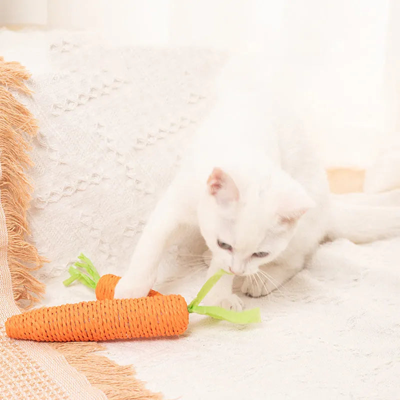 Bundle of cat toys including carrot-shaped paper bites, ringing stones, slender cat sticks and tooth grinding chews