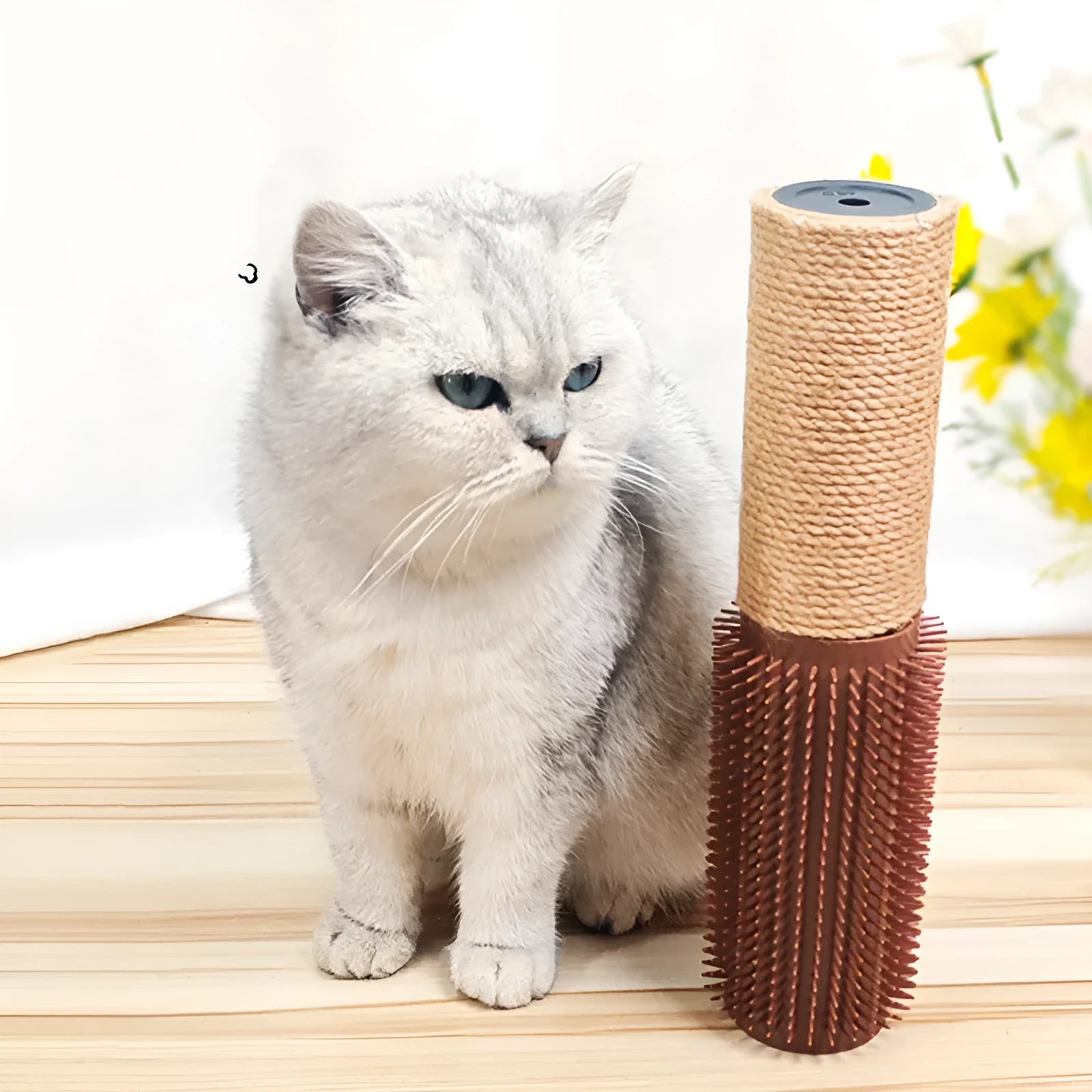 Brown sisal cat scratching post measuring 30cm tall on a floor