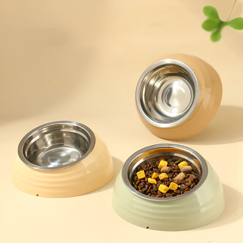 Stainless steel cat bowl in plastic holder available in light green, beige, or brown colours