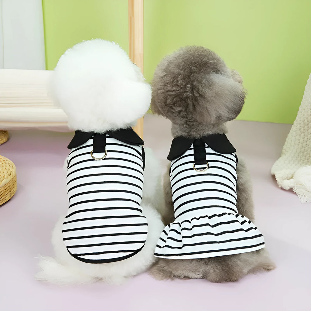 Pet dog wearing cotton summer stripes t-shirt and skirt set