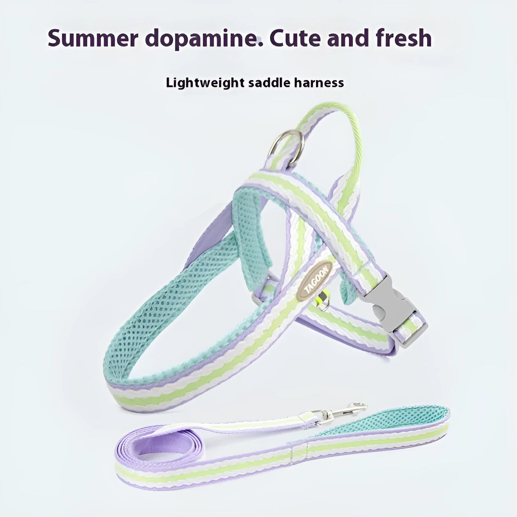 Lightweight dog harness with attached hand holding rope in sea salt yellow colour on a small dog