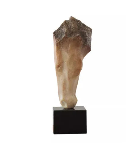Abstract French retro horse head resin sculpture ornament 50cm high with carved finish