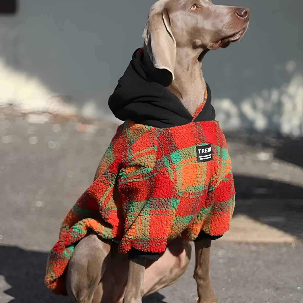 Thick warm casual dog clothing in green stripes for large breed cold weather wear