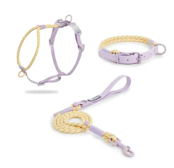 Solid colour PVC dog hand holding rope showing dark red purple yellow and taoyao green colour options